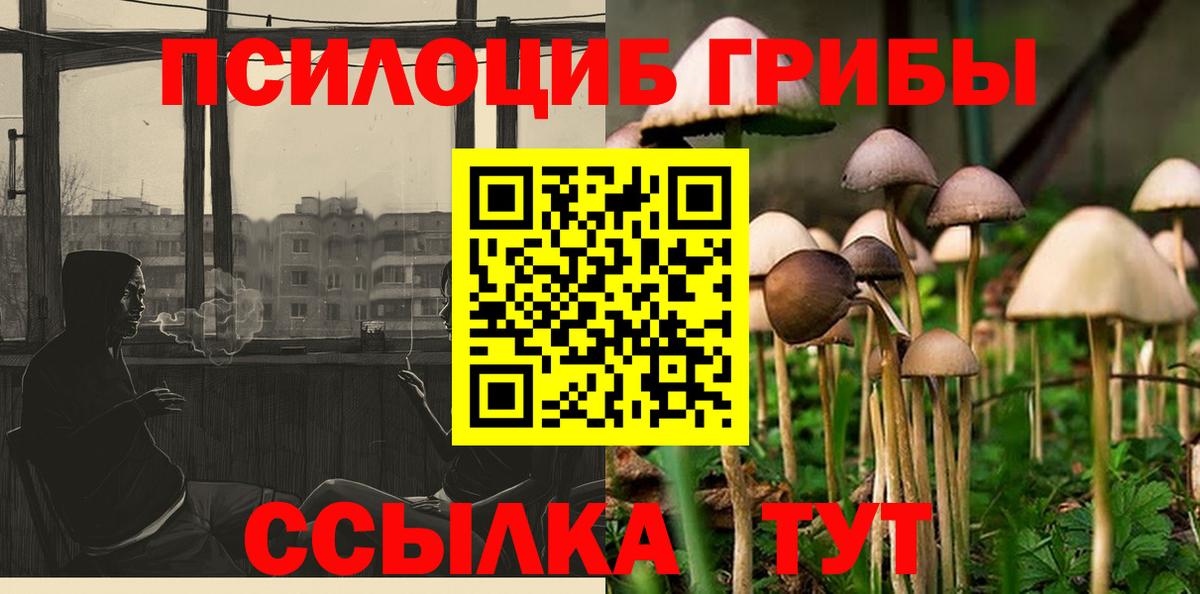 Псилоцибиновые грибы Cubensis  как найти   Гусь-Хрустальный  Вход с VPN 
