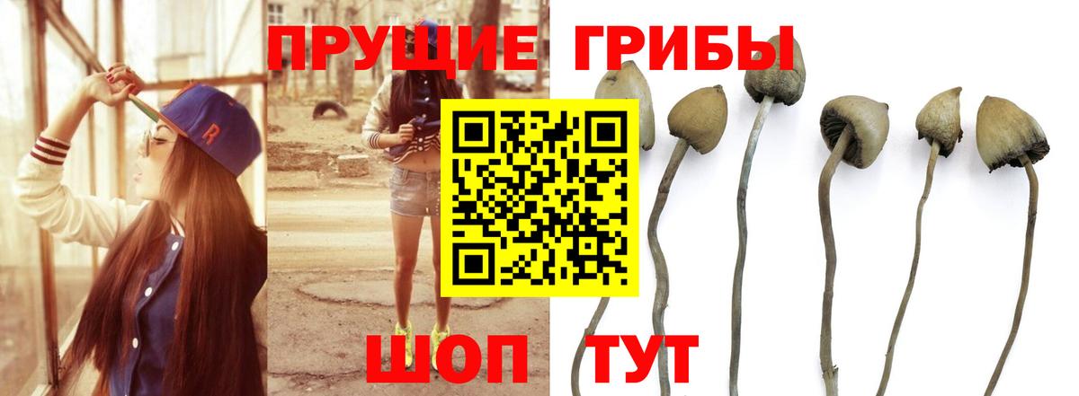 Галлюциногенные грибы ЛСД Гусь-Хрустальный